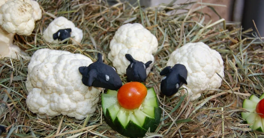 ovelles de plastilina