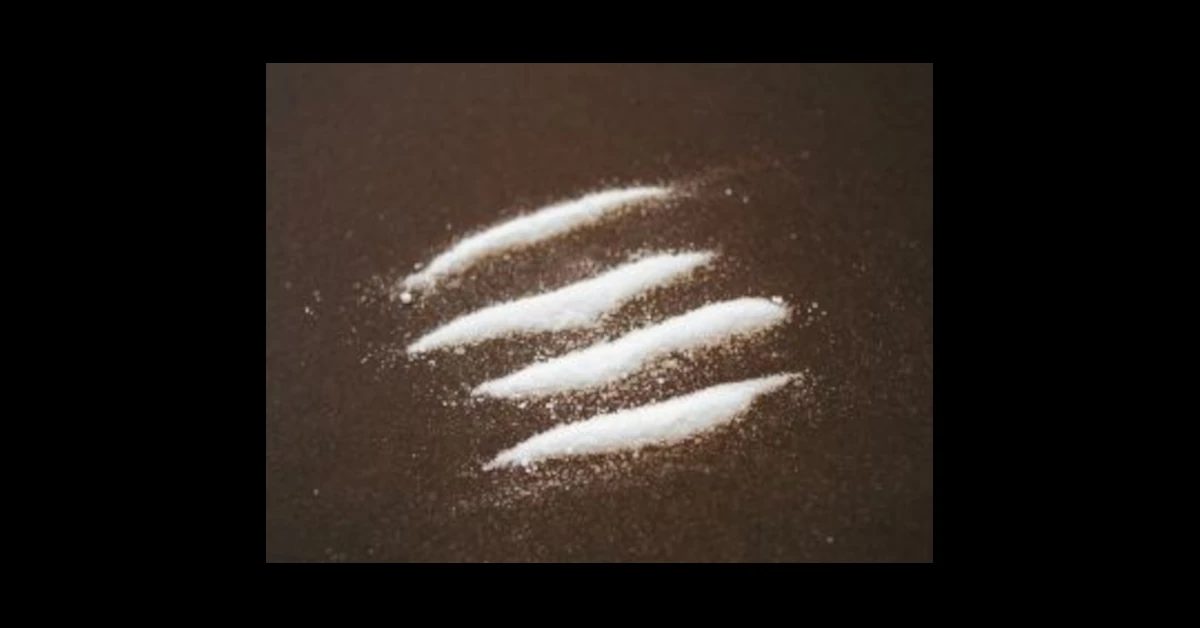 Tres raons que expliquen perquè un càrrec públic no ha de prendre drogues.