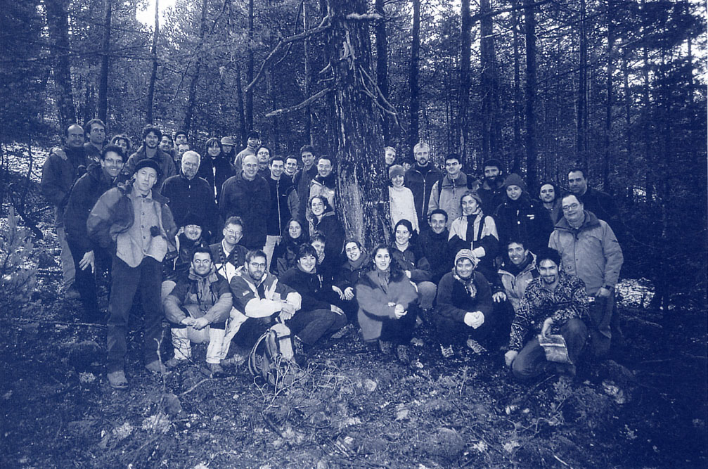 un grup de persones envoltant un arbre