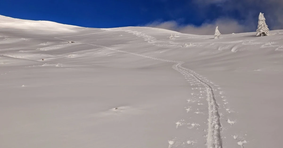 El seguidisme de Demòcrates per Andorra
