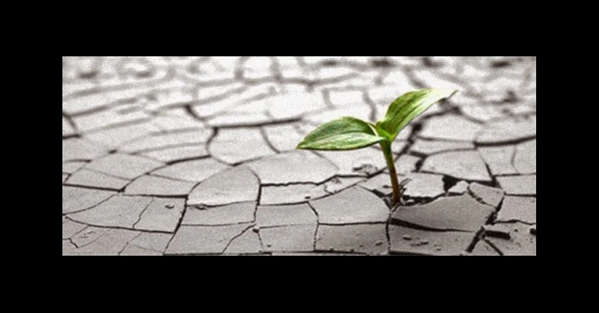 Resiliència nacional