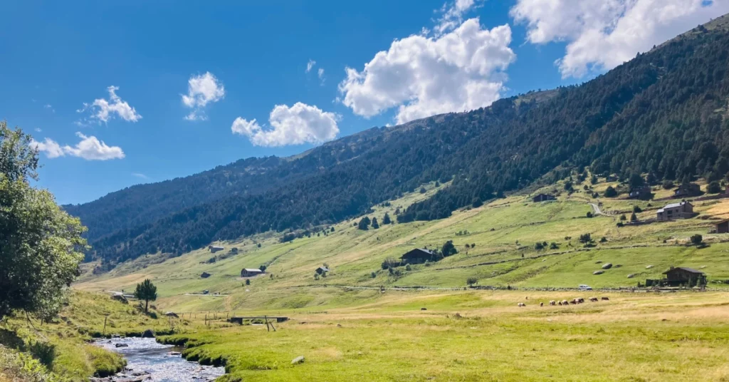 vall de muntanya amb riu, prats i bosc