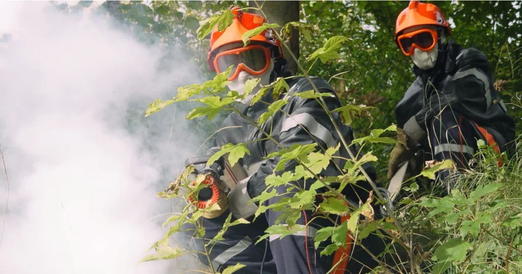 sapeurs pompiers feu de foret protection