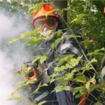 sapeurs pompiers feu de foret protection
