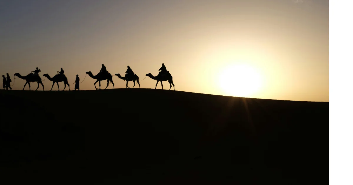 caravana amb camells