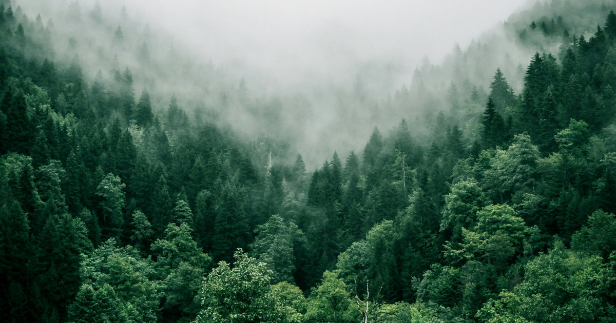 Salvem la Natura
